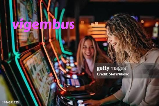 vigembus slide 1